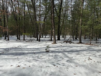 8192 W Cypress Ave, Baldwin, MI 49304 - photo 5