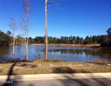 RC pond