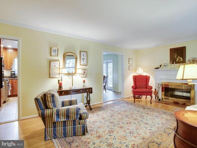 8514 Doter Dr, Alexandria, VA 22308 - photo 4