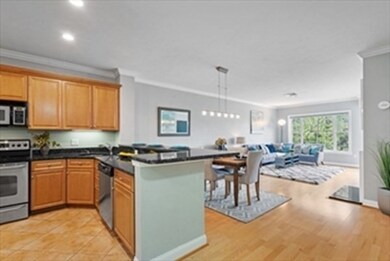 Salem Place Condominiums unit 80, Woburn, MA 01801 - photo 2