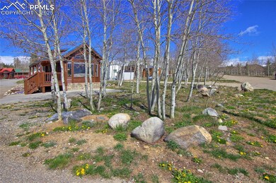 Side Yard