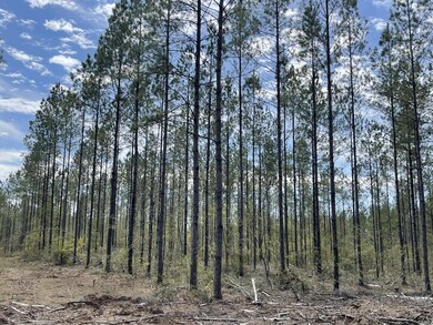 0 Stanford Lake Rd unit 140592, Poplarville, MS 39470 - photo 6