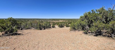 9182 Texas Ln, Show Low, AZ 85901 - photo 6