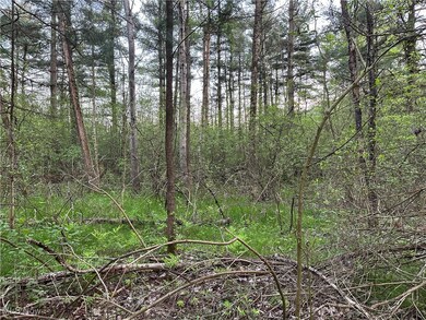 3549 Knowlton Rd, Roaming Shores, OH 44084 - photo 6