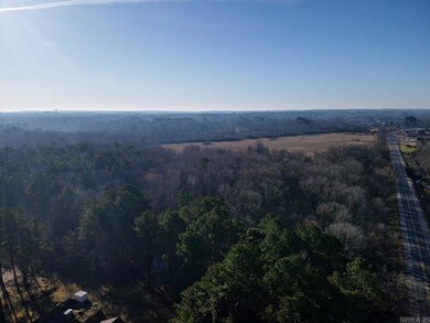 TBD Hwy 67, Curtis, AR 71743 - photo 7