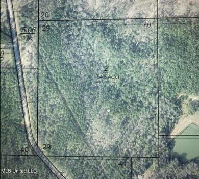 98.5 Acres Crossroads-Merrill Rd, Lucedale, MS 39452 - photo 7