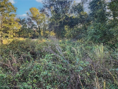 Tract 14 Lakeview Dr, Spiro, OK 74959 - photo 6