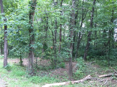 0 Tolliver Rd unit Lot C 216031341, Logan, OH 43138 - photo 4