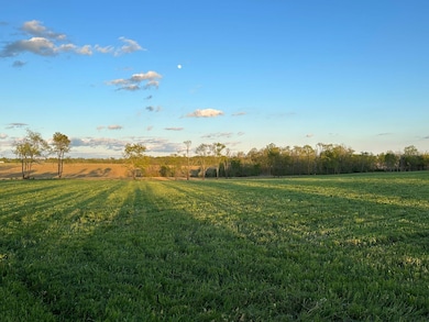 Field