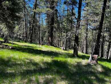 400 & 406 Orchard Ridge Rd, Kalispell, MT 59901 - photo 6