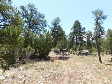 1919 Elk Rd2 (3)