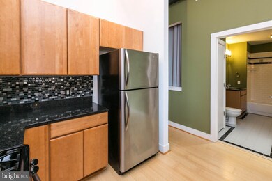 22 S Howard St unit R503, Baltimore, MD 21201 - photo 7