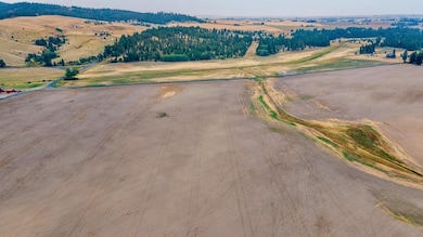 15237 E Belmont Appx Rd, Mica, WA 99023 - photo 7