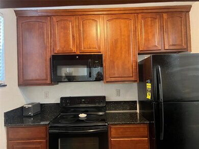 203 S Westland Ave unit 2, Tampa, FL 33606 - photo 4