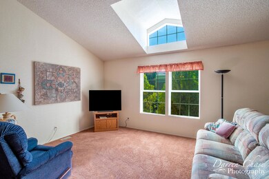 Living Room Windows