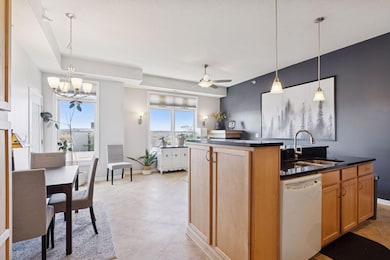 100 4th Ave N unit 308, South Saint Paul, MN 55075 - photo 3