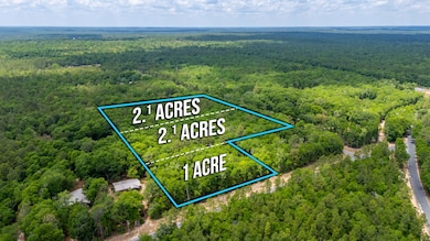 5.31 ac xx John Nix Rd, Crestview, FL 32539 - photo 2