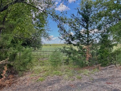 1992 County Road 2100, Cooper, TX 75432 - photo 5