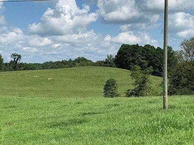 2794 Highway 1058, Jamestown, KY 42629 - photo 6