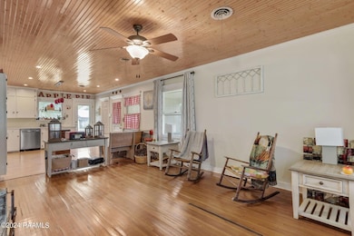 Open Kitchen/Living