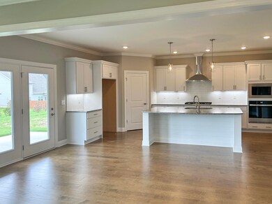 Homesite 61_Kitchen3