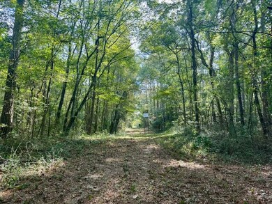 325 Beartown Rd, Jayess, MS 39641 - photo 4