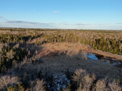DJI_0254