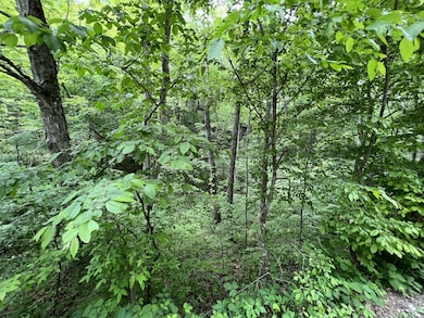 0 Clay Lick Rd unit RTC3047881, Whites Creek, TN 37189 - photo 4