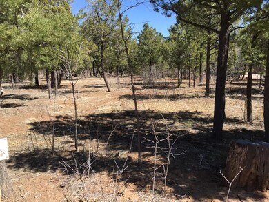 240 Cedar Breaks Ave unit 289, Show Low, AZ 85901 - photo 7