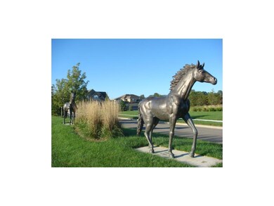 Carousel Image
