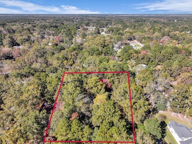 497 Renau Blvd, Summerville, SC 29483 - photo 6