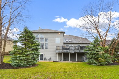 Exterior Back