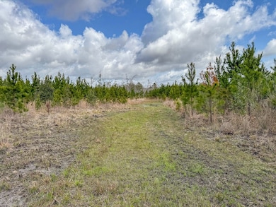 XX1 Worley Rd, Bonifay, FL 32425 - photo 5