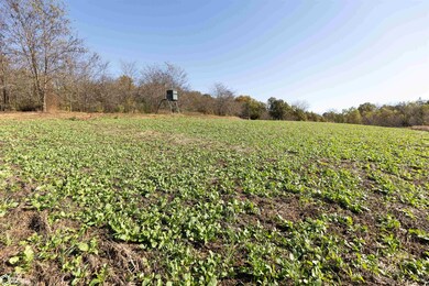 23751 125th St, Bloomfield, IA 52537 - photo 4