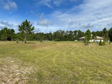 621 Ranchette Rd, New Smyrna Beach, FL 32168 - photo 3