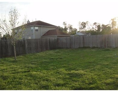Backyard.