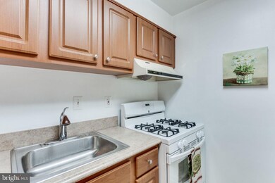 5827 Cove Landing Rd unit 201, Burke, VA 22015 - photo 7
