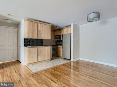 St. Paul at Chase Condominiums unit 206, Baltimore, MD 21202 - photo 2