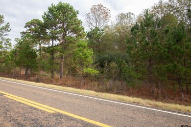 TBD Fm 2012 N, Overton, TX 75684 - photo 4