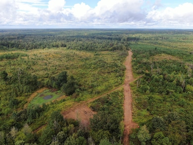 Mt Gilead Rd, Holly Springs, MS 38635 - photo 4