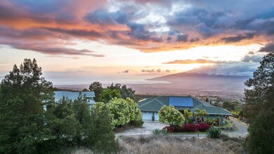 90 Alanuilili Place, Kula, HI 96790 - photo 3