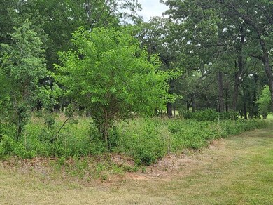 27129 Whispering Meadow Dr, Whitney, TX 76692 - photo 6