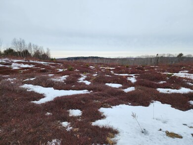 3 Whispering Berries Hill, Liberty, ME 04949 - photo 7