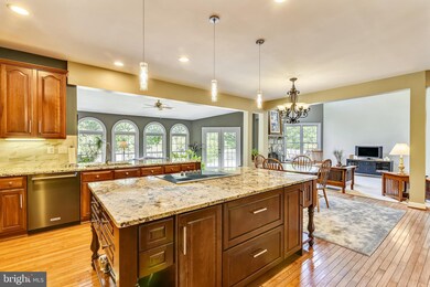 19396 Emerald Park Dr, Leesburg, VA 20175 - photo 4