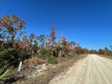 TBD Lot #19 Sea Oaks Dr unit 19, Perry, FL 32348 - photo 2