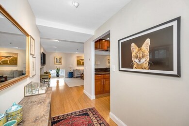 Sumner Hill Condominiums unit G15, Jamaica Plain, MA 02130 - photo 5