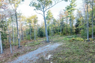 263 High Ridge Rd, Cavendish, VT 05142 - photo 5