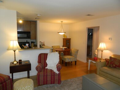 Living Dining Area
