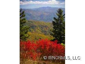 Fall colors @ Balsam Mt Prsv