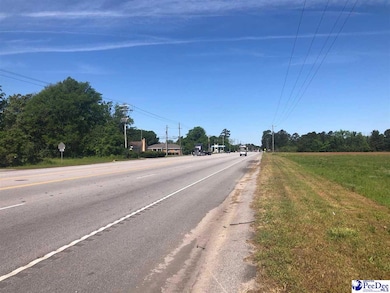 0 W Bobo Newsom Hwy, Hartsville, SC 29550 - photo 6